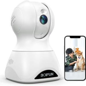 dog005